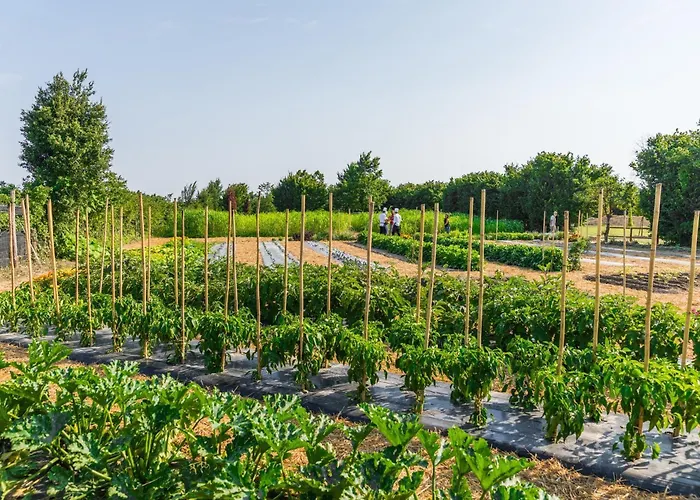 Panzió La Posa Degli Agri