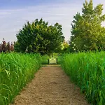 Bed and breakfast La Posa Degli Agri
