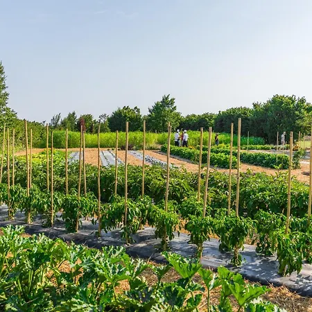 לינה וארוחת בוקר La Posa Degli Agri